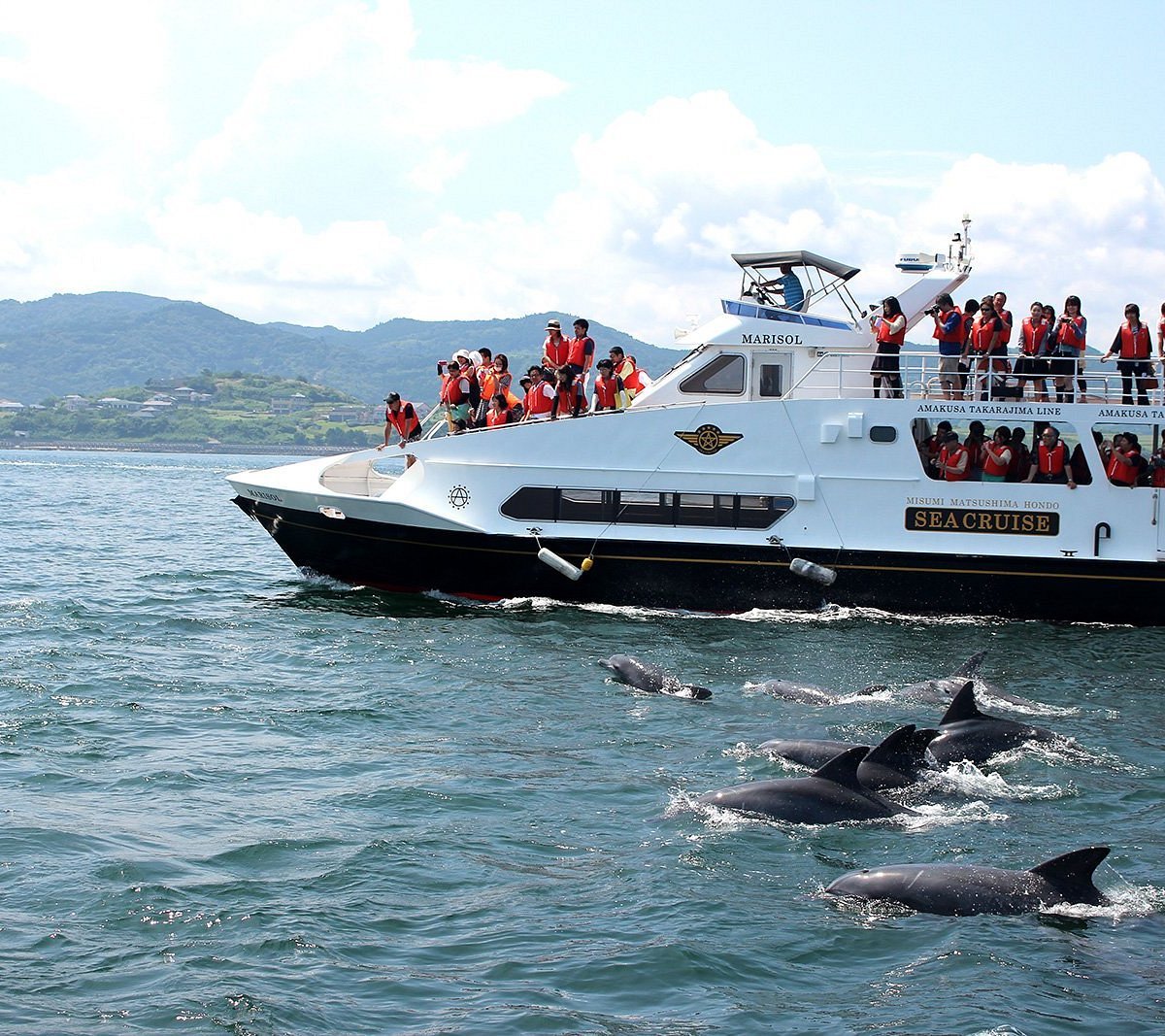 🐬 야생 돌고래 해상공원(이루카 마린 월드)